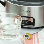 slow cooker with a measuring cup of water and a food thermometer