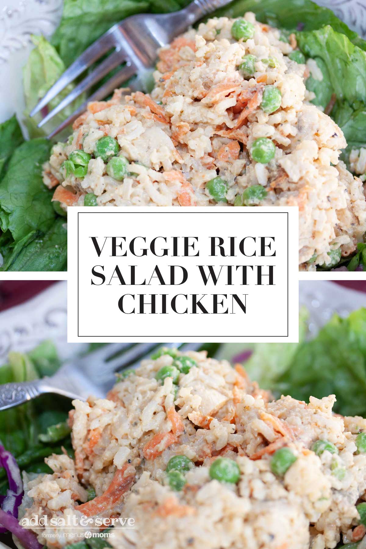 Veggie rice salad with chicken served on lettuce leaves. Text is Veggie Rice Salad with Chicken - Add Salt & Serve logo