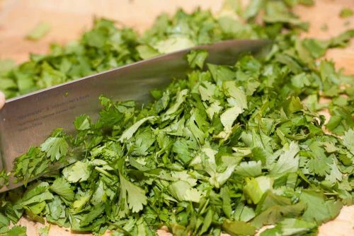 knife chopping cilantro