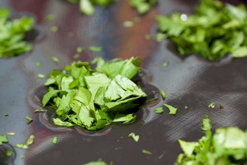 chopped cilantro in a silicone mold
