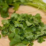 cilantro