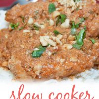 Chicken breasts cooked with peanut sauce over white rice and garnished with chopped cilantro and peanuts and text Slow Cooker Thai Chicken - Add Salt & Serve logo