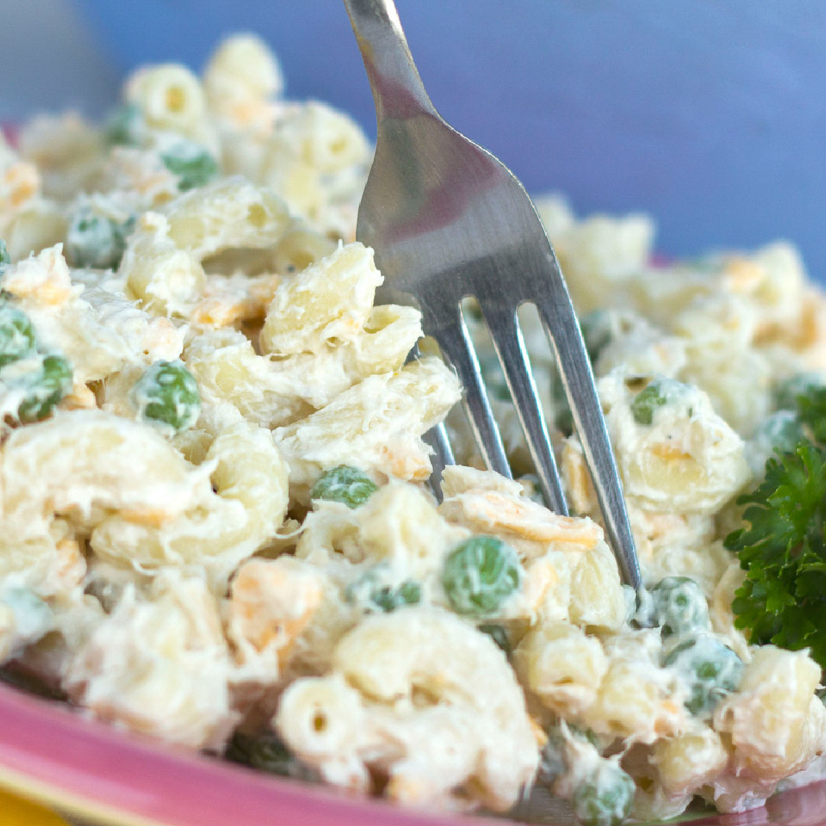 Tuna salad with pasta and peas on a red plate with a fork, garnished with parsley