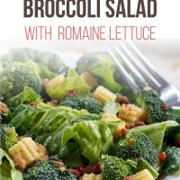 Baby Corn Salad with Broccoli on a plate with a fork.Text is Baby Corn and Broccoli Salad with Romaine Lettuce - Add Salt & Serve logo