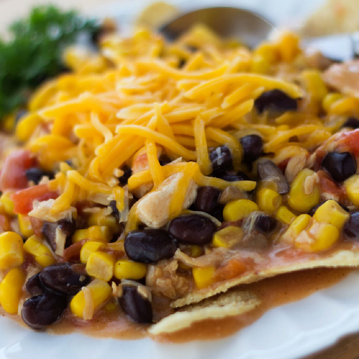 Chicken Enchilada Soup (15 Minute Meal)
