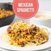 Plate of Mexican Spaghetti topped with shredded cheese on a counter beside a bowl of shredded cheese and a pot of Mexican Spaghetti sauce with text Quick & Easy Mexican Spaghetti.
