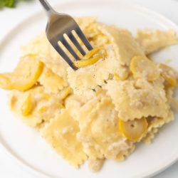 Plate of creamy summer squash and cheese ravioli in a cheese sauce with a forkful lifted to the camera.