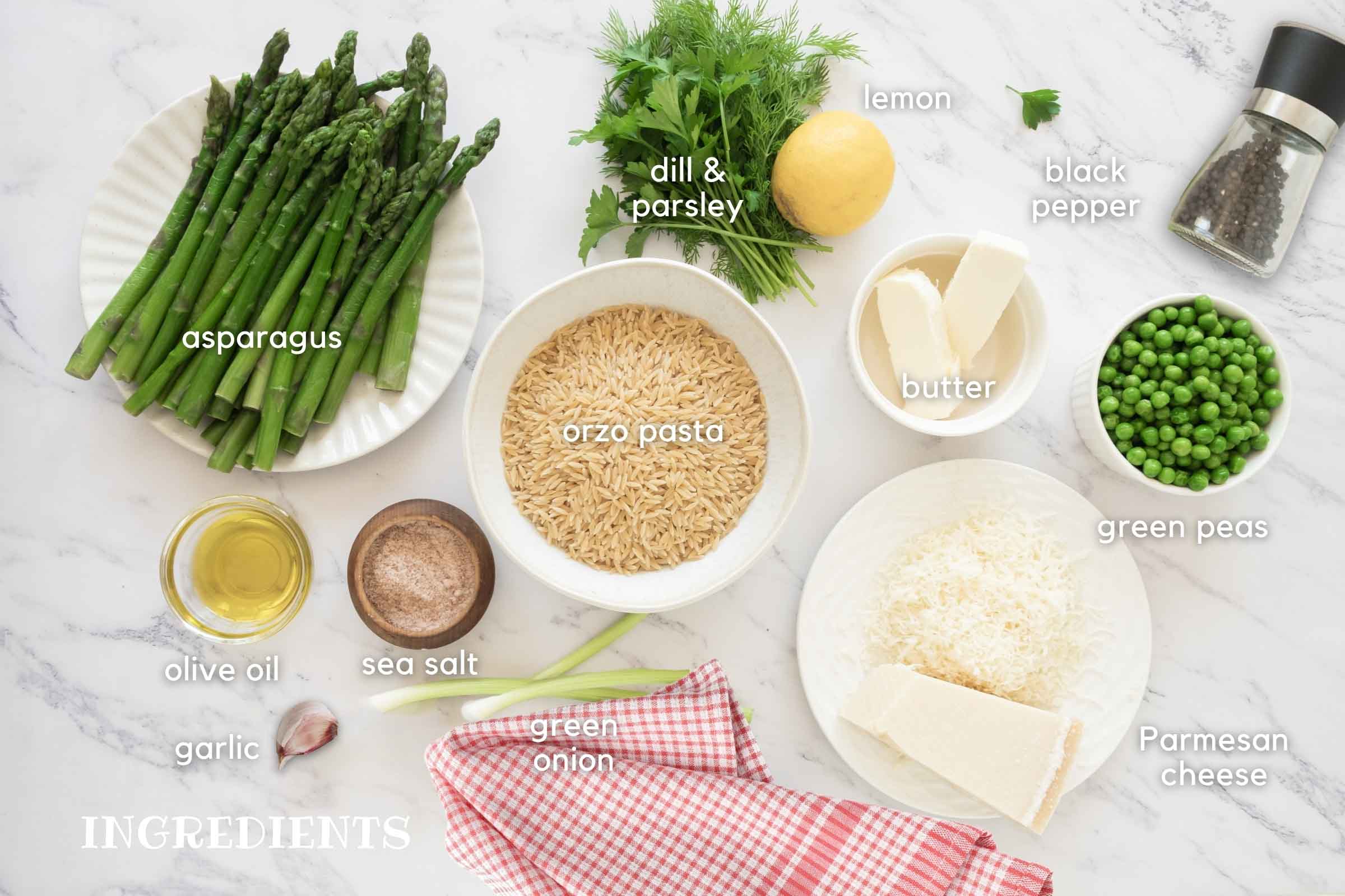 Labeled image of ingredients: asparagus, fresh dill and parsley, lemon, black pepper, green peas, Parmesan cheese, butter, orzo pasta, sea salt, olive oil, garlic clove, and green onion.