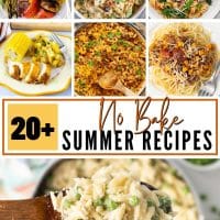 20+ no bake summer recipes with 7 recipe images.
